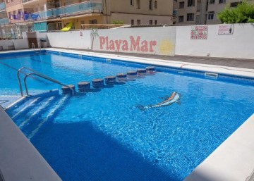 Apartment 1 Bedroom in Malgrat de Mar