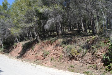 Terrenos en Can Solá del Racó