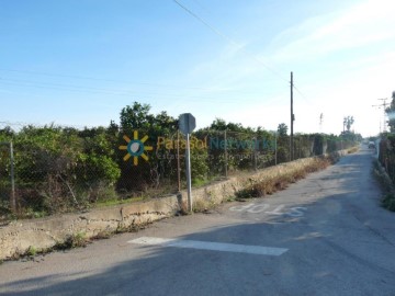 Terrenos en Oliva pueblo