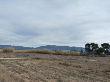 Land in Alfarrasí