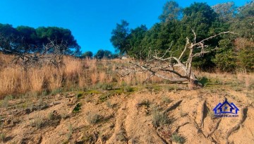 Terrenos en Torrent d'en Puig