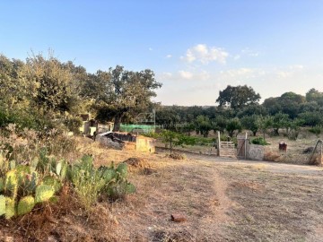 Quintas e casas rústicas 1 Quarto em Palomares de Alba