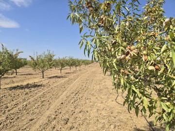 Terrenos en Recas