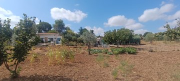 Terrenos en Paraje del Arzobispo