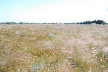 Terrenos en La Huerta