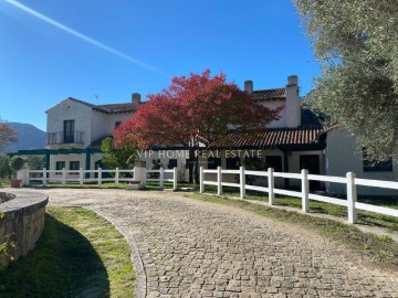 Building in Salto de Saucelle