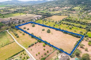 Terrenos en Manacor