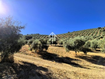 Terrenos en Montefrío