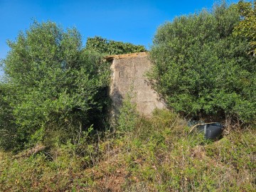 Terrenos en Manacor