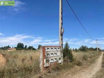 Terre à La Aguilera - Costaján - Sinovas - La Calabaza