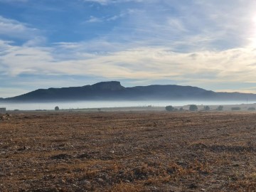 Land in Fondo