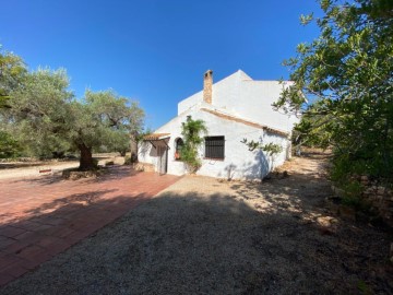 Maison 3 Chambres à L'Ampolla