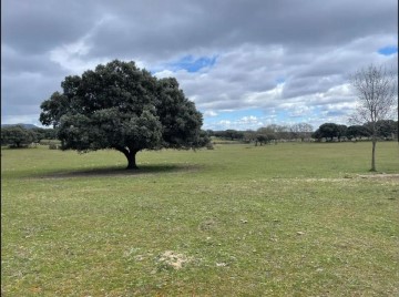 Terrenos en Casco Antiguo