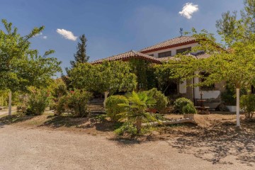 House 5 Bedrooms in Cabrita