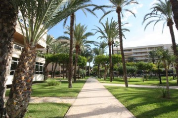 Piso 2 Habitaciones en Playa de los Locos