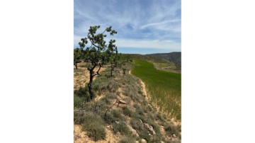 Terre à Cervera del Río Alhama