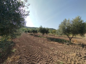 Terreno em Torre del Compte