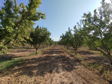 Terreno em Torre del Compte