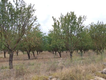 Quintas e casas rústicas em Almatret