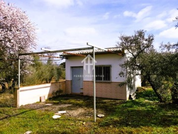 Terreno em Ventorros de la Laguna