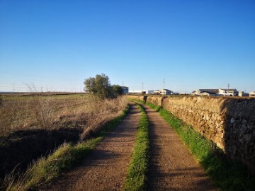 Terrenos en Olivenza