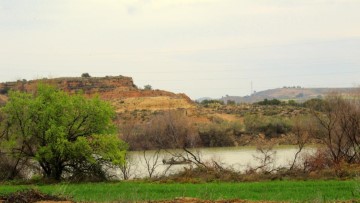 Casas rústicas en Poblado de Pescadores