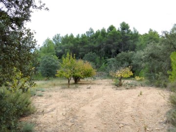 Terreno em Fórnoles