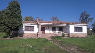 House 5 Bedrooms in Tres Olivos - La Piedad