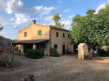 Maisons de campagne 3 Chambres à Manacor