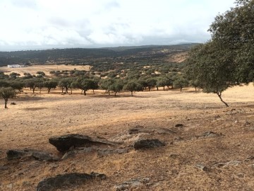 Terre à Vilches