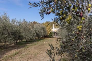 Maisons de campagne à La Zubia