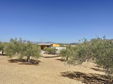 Casas rústicas 1 Habitacione en Ardelejos - Cuesta de la Palma - Buenavista