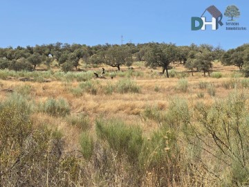 Terrenos en Montesol - Mejostilla