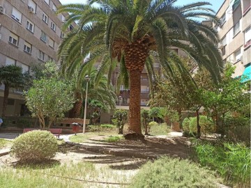 Apartment 3 Bedrooms in Ruiseñores