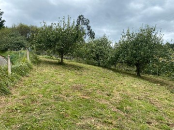 Terrenos en Parroquias surorientales