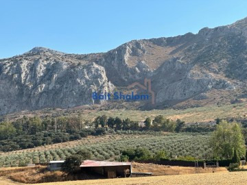 Terrenos en Antequera Centro