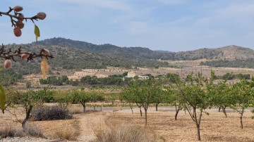 Terrenos en Algueña