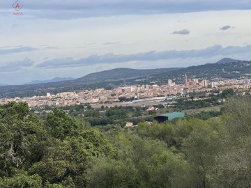 Terrenos en Manacor