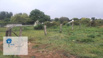 Terreno em El Callejo - La Pesquera - La Arenosa