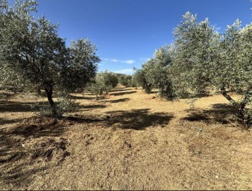 Terrenos en Villanueva del Trabuco