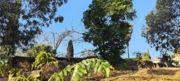 Terrenos en Noreña - Figueroa